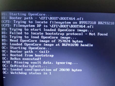 efi file. . Opencore disable watchdog